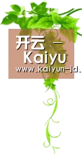 开云 - Kaiyun中国站首页 - 官网入口
