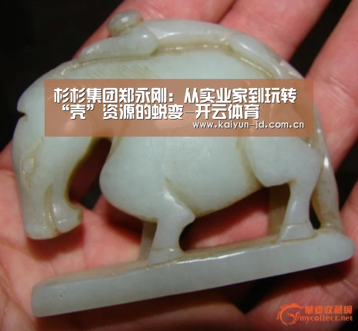 杉杉集团郑永刚:从实业家到玩转“壳”资源的蜕变-开云体育(图1) 赛事数据